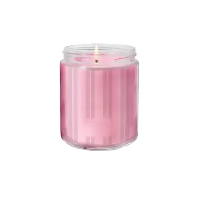 Mermaid Wishes & Starfish Kisses <br> Classic Candle